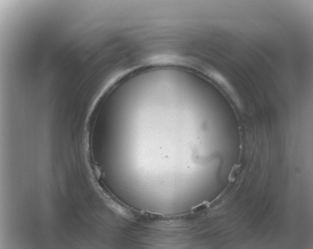 X0000066931376200604071835