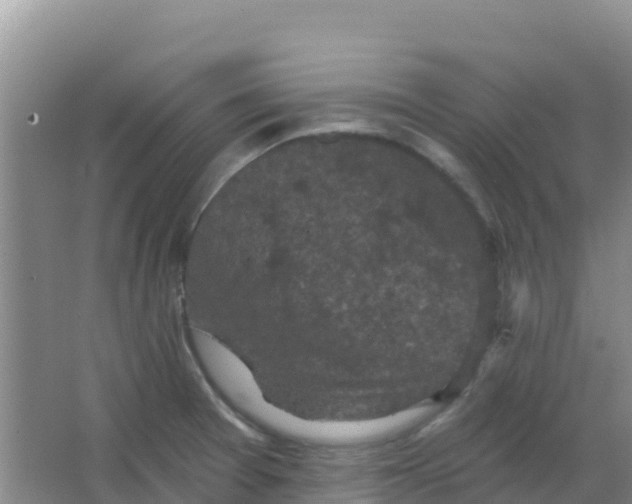 X0000066931377200604071835