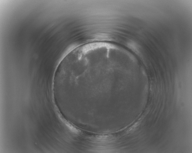 X0000066931378200604071835