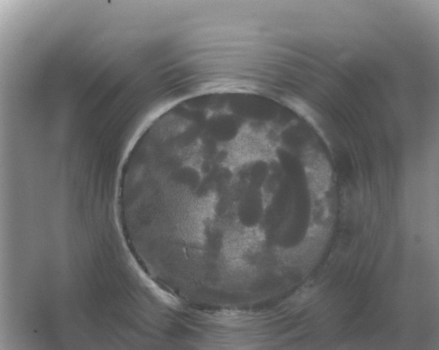 X0000066931379200604071835