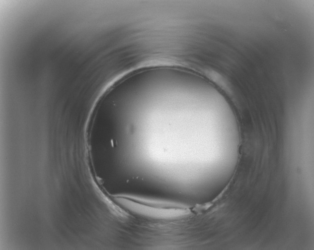 X0000066931380200604071835