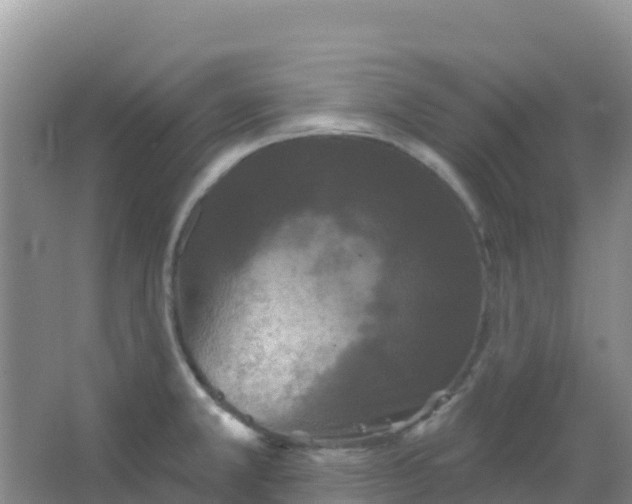 X0000066931381200604071835