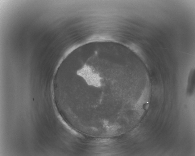 X0000066931382200604071835