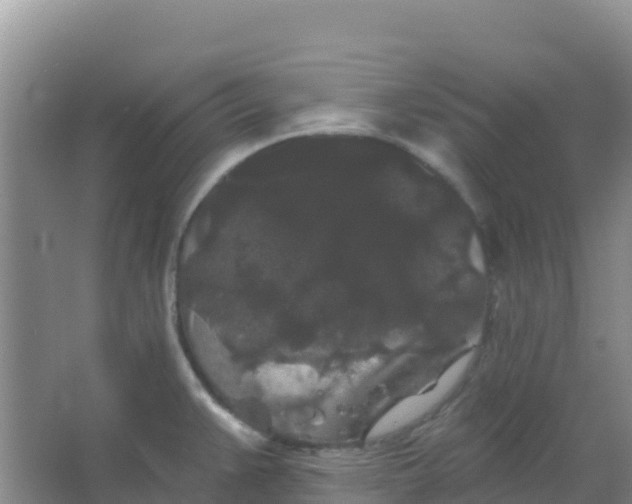 X0000066931383200604071835