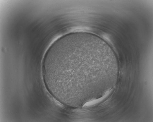 X0000066931384200604071835