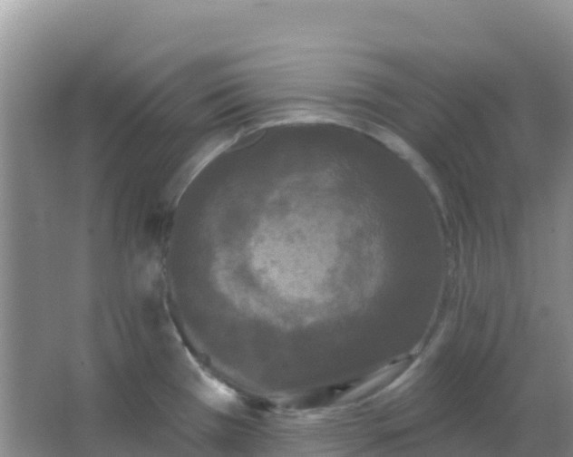 X0000066931385200604071835