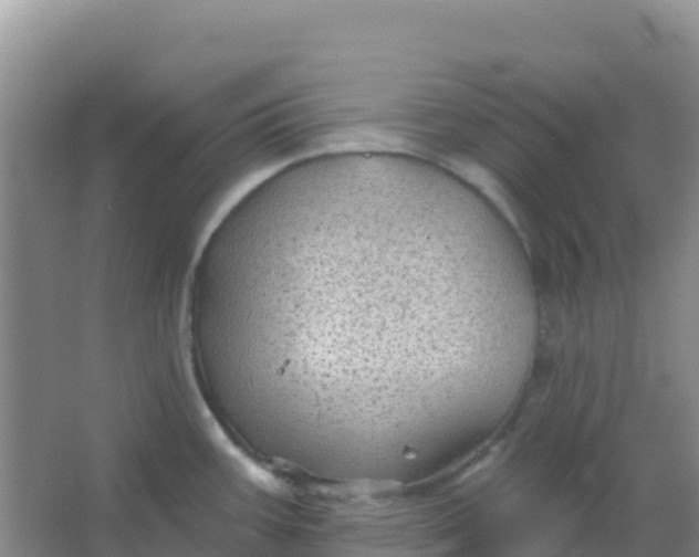 X0000066931387200604071835