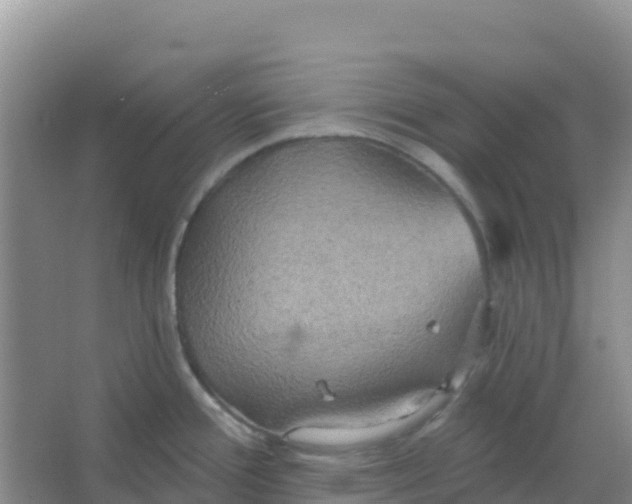 X0000066931388200604071835