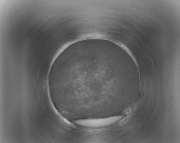 X0000066931389200604071835