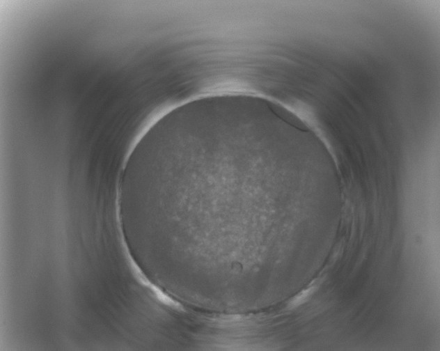 X0000066931390200604071835