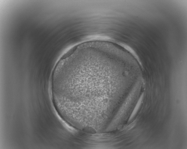 X0000066931391200604071835