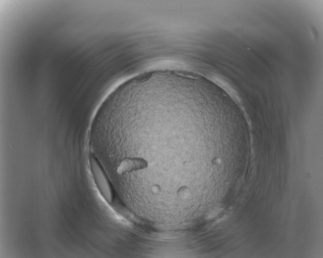 X0000066931392200604071835