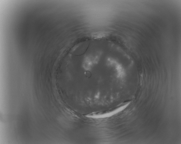 X0000066931393200604071834