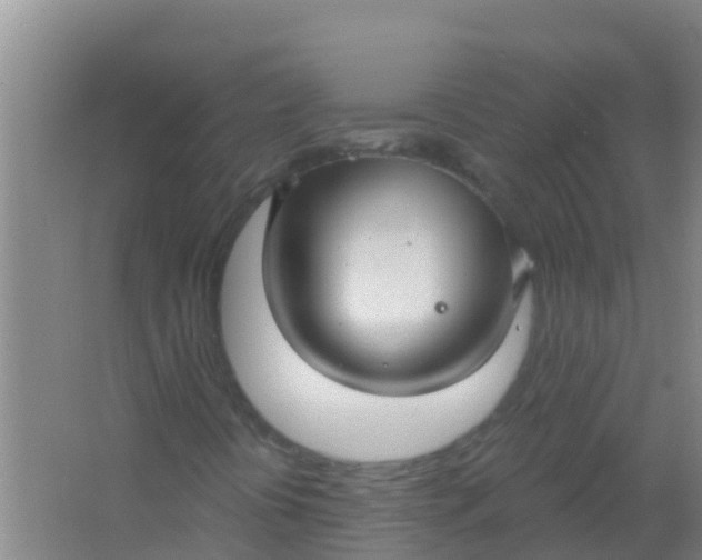 X0000066931394200604071834