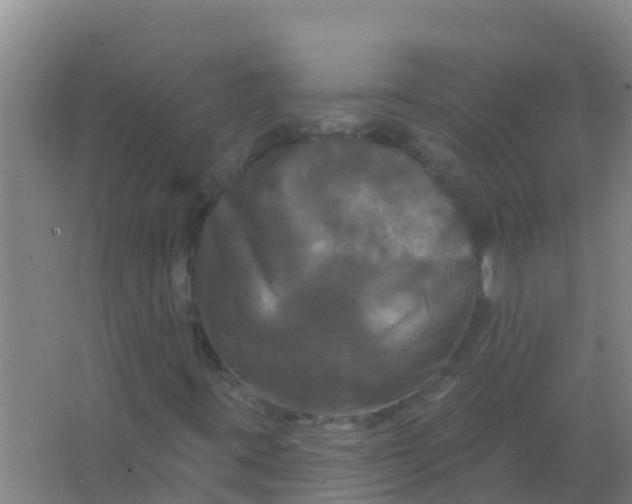 X0000066931395200604071834