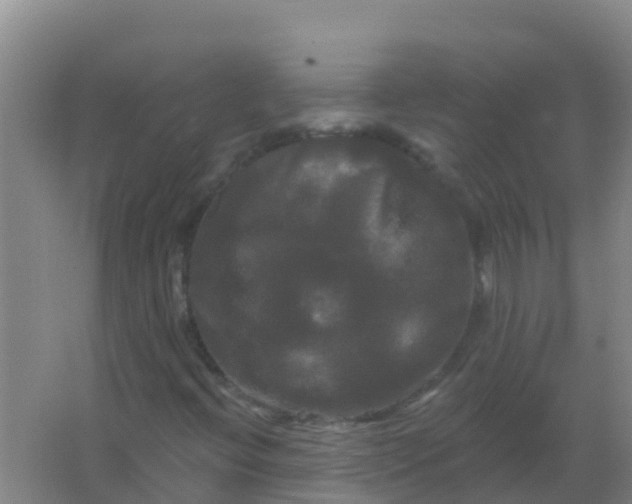 X0000066931396200604071834