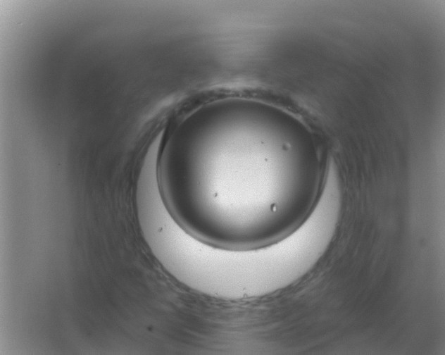 X0000066931398200604071834