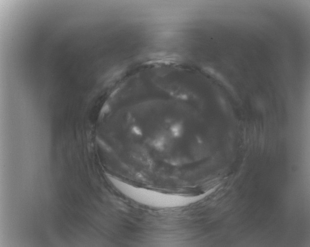 X0000066931399200604071834