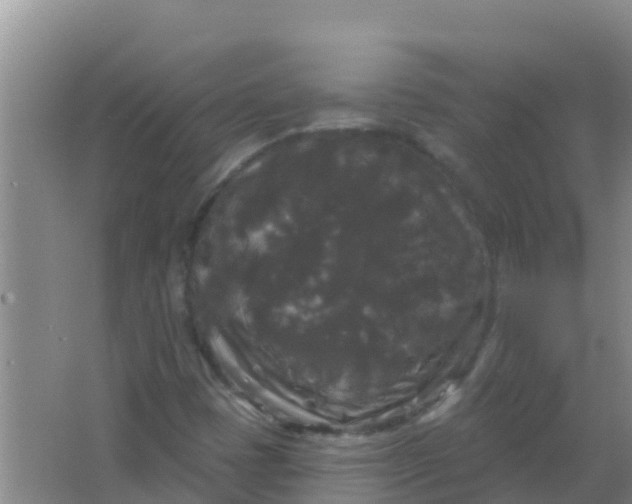 X0000066931401200604071834