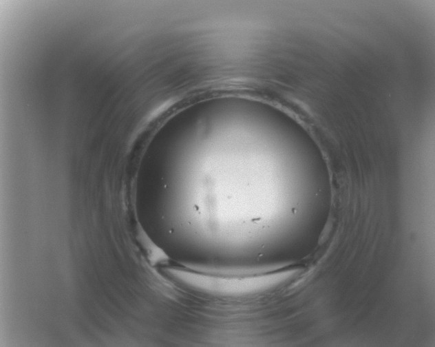 X0000066931402200604071834