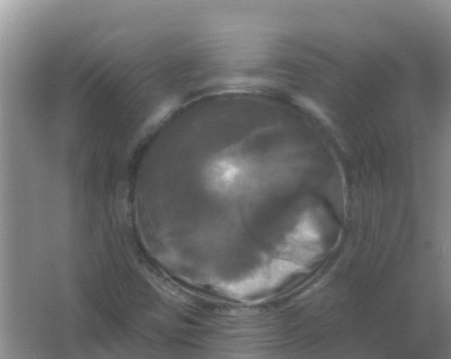 X0000066931403200604071834