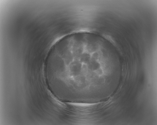 X0000066931404200604071834