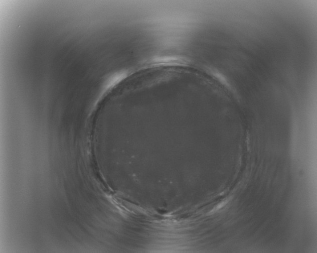 X0000066931405200604071834