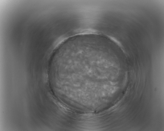 X0000066931407200604071834