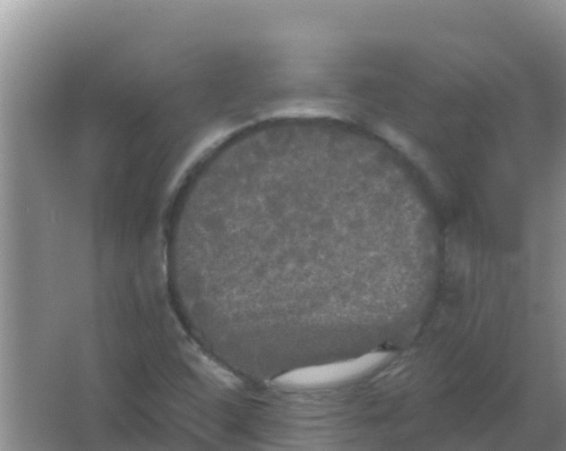 X0000066931408200604071834