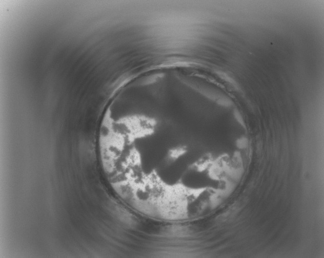 X0000066931409200604071834