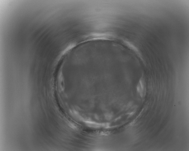 X0000066931411200604071834