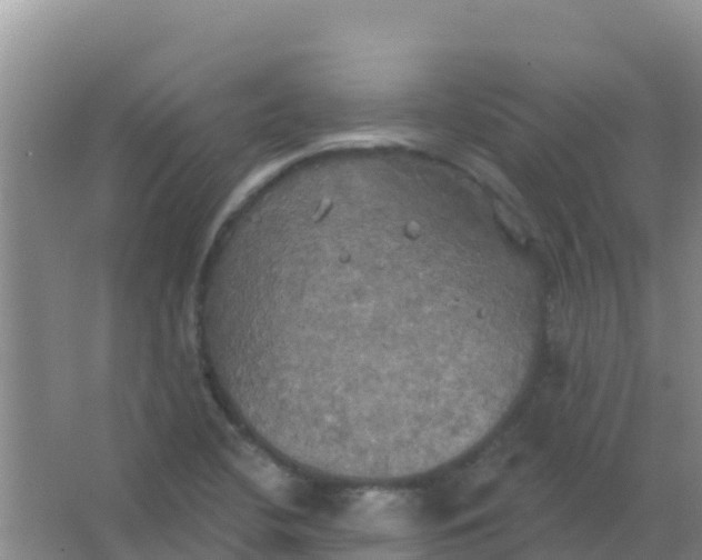 X0000066931412200604071834