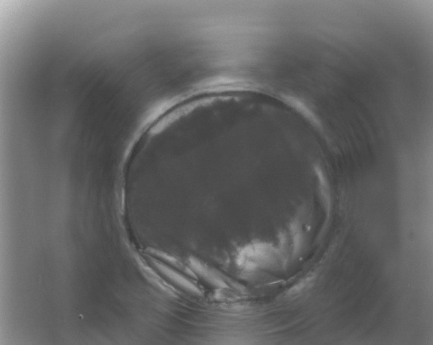 X0000066931413200604071834