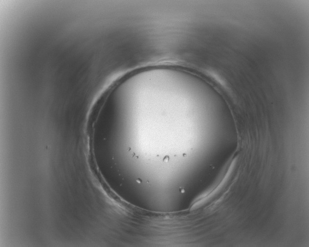 X0000066931414200604071834