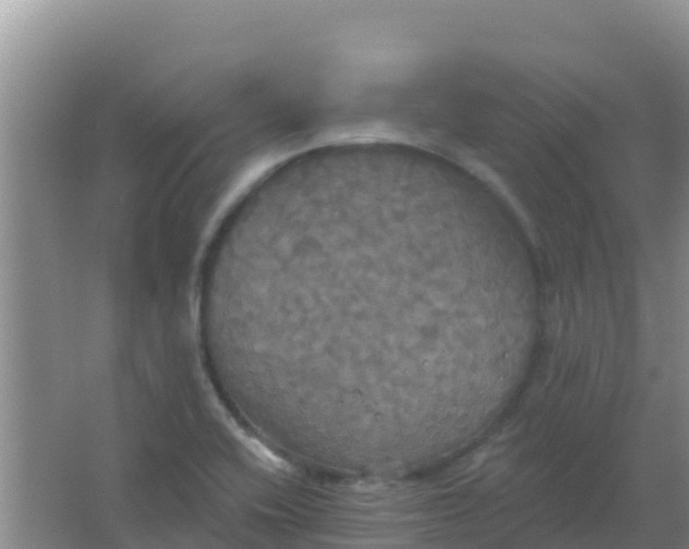 X0000066931416200604071834