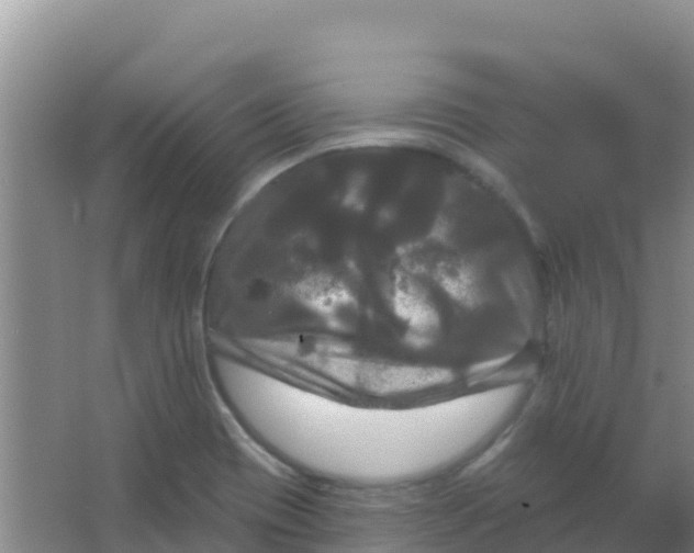 X0000066931417200604071834