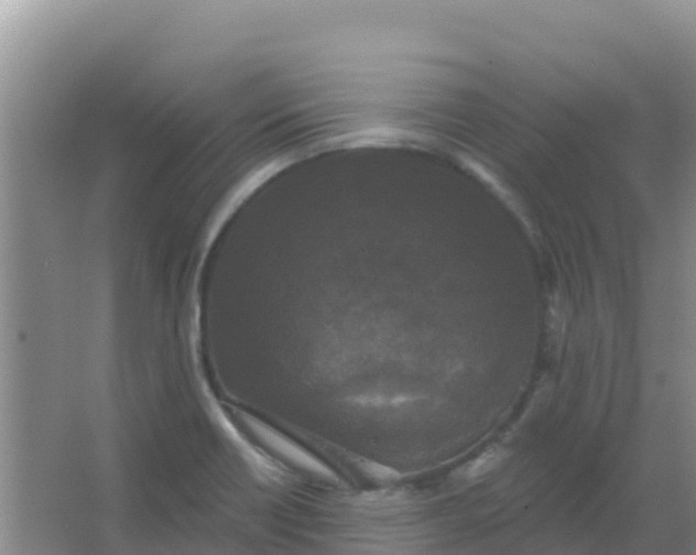 X0000066931418200604071834