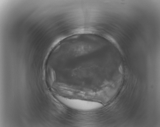 X0000066931419200604071834