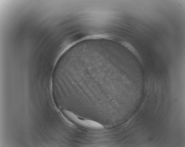 X0000066931420200604071834