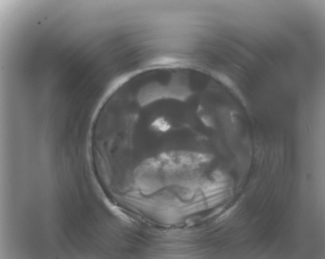 X0000066931421200604071834