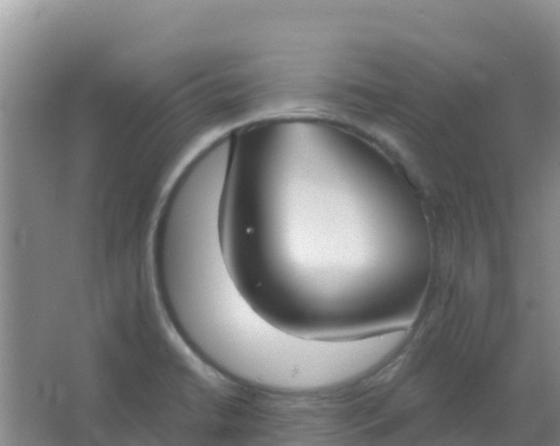 X0000066931422200604071834