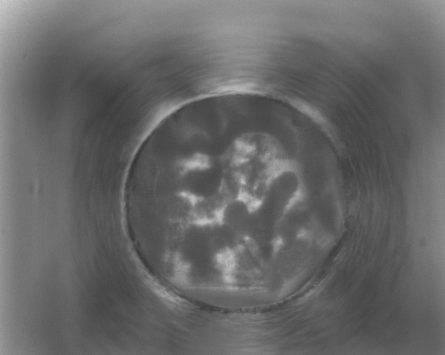 X0000066931423200604071834