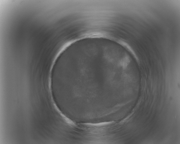 X0000066931424200604071834