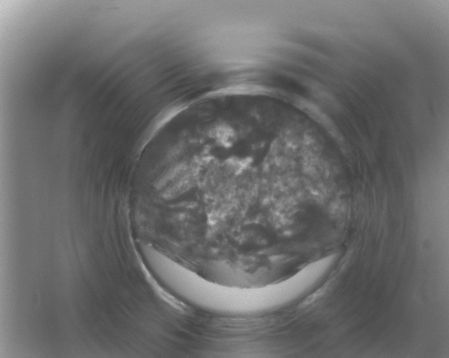 X0000066931425200604071835