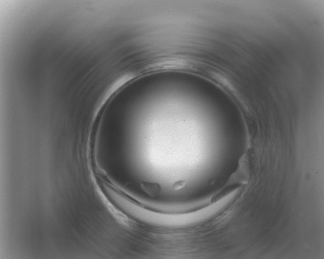 X0000066931426200604071835