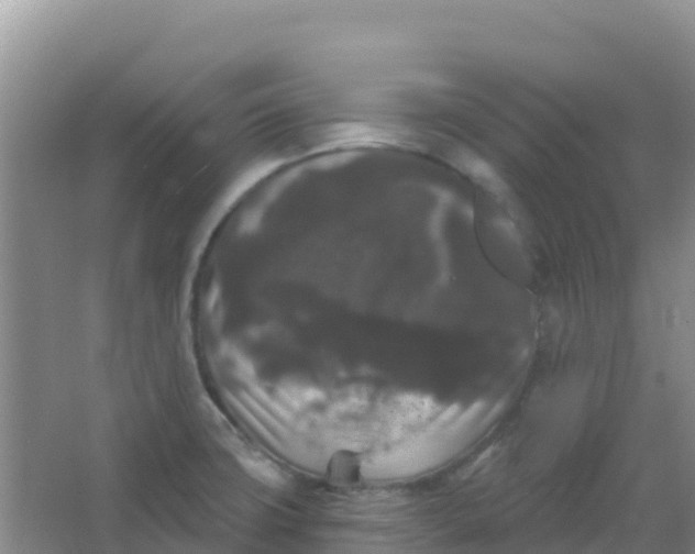 X0000066931427200604071835