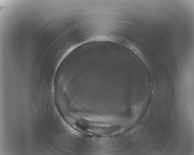 X0000066931428200604071835