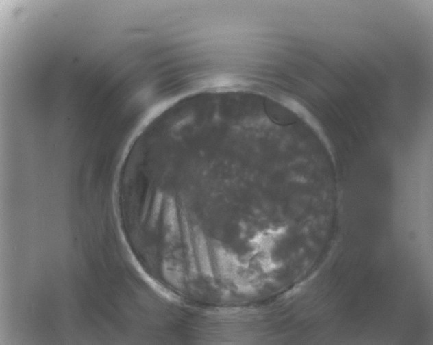 X0000066931429200604071835