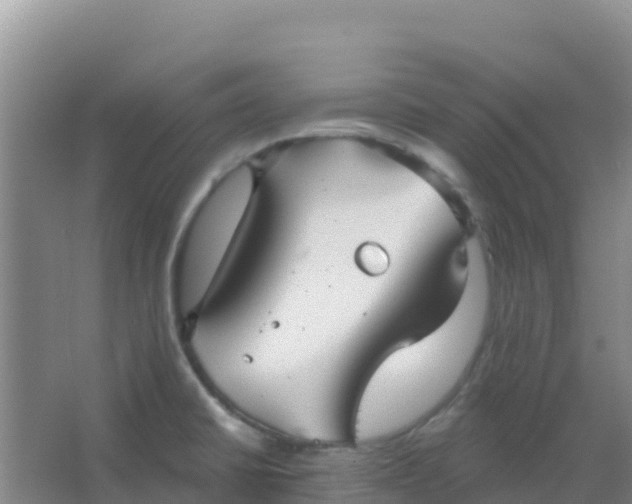 X0000066931430200604071835