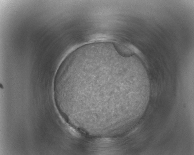 X0000066931431200604071835